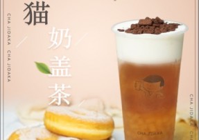 球速体育：熊猫奶盖茶